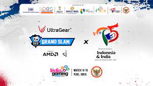Skyesports Indonesian Embassy India Gaming Show 2024