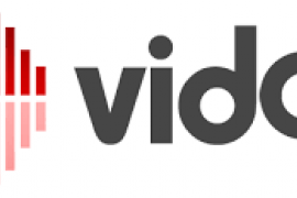 Vidooly logo