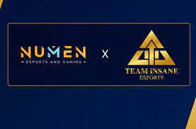 Team iNSANE Numen Esports and Gaming