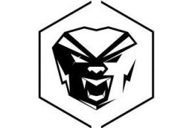 SoStronk logo