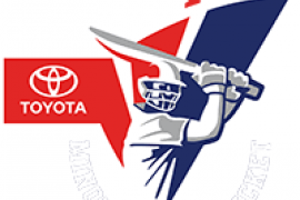 Minor League Cricket Toyota logo