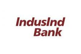 IndusInd Bank logo