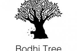 Bodhi Tree Lupa Systems James Murdoch Uday Shankar
