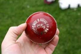 Test cricket ball