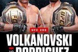UFC 290