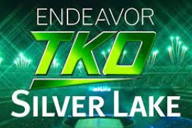 Endeavor TKO Silver Lake